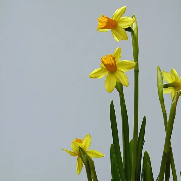 江南体育网站捕鱼游戏