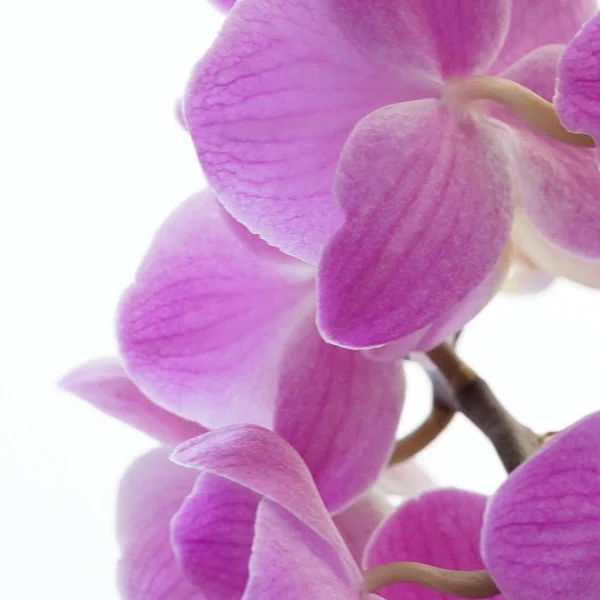 江南体育网站棋牌游戏